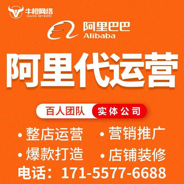 靖西电商代运营
