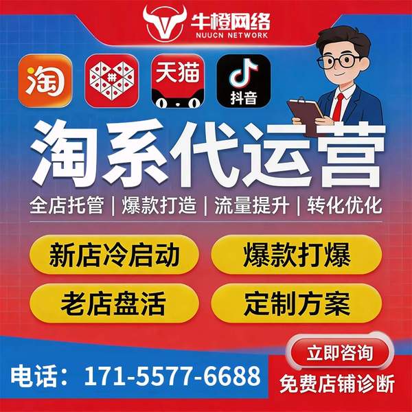靖西电商代运营