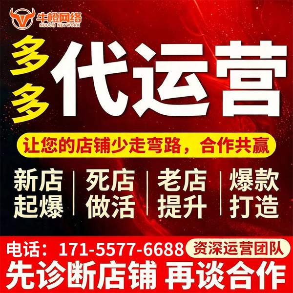 靖西电商代运营
