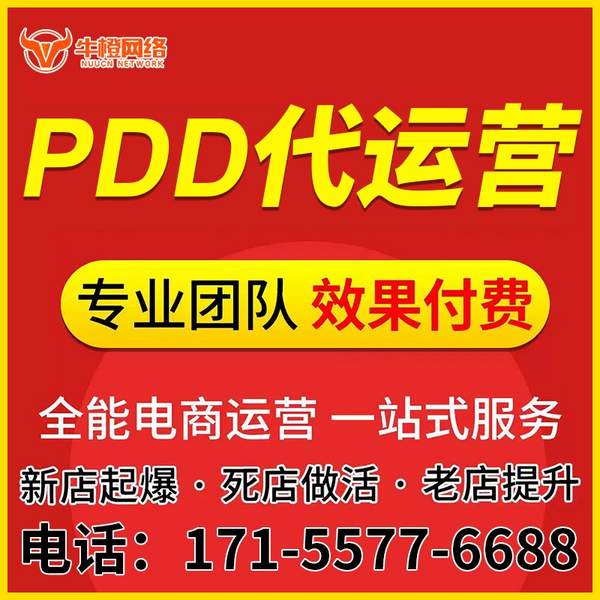 靖西电商代运营