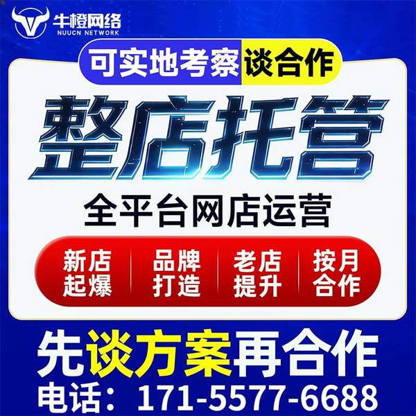 靖西电商代运营