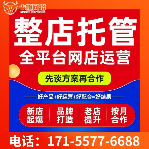 靖西电商代运营