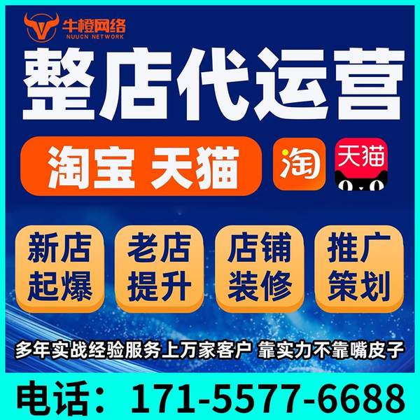 靖西电商代运营