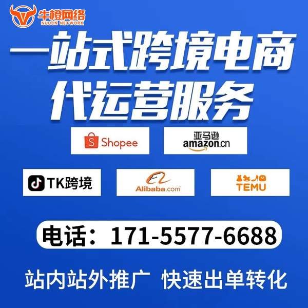 靖西电商代运营