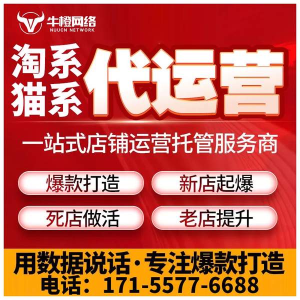 靖西电商代运营